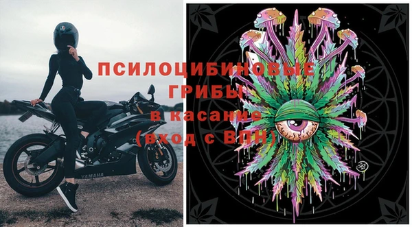дмт Алзамай