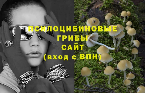 дмт Алзамай