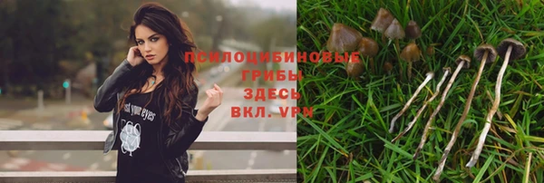 дмт Алзамай