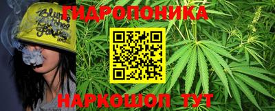 индика Кулебаки