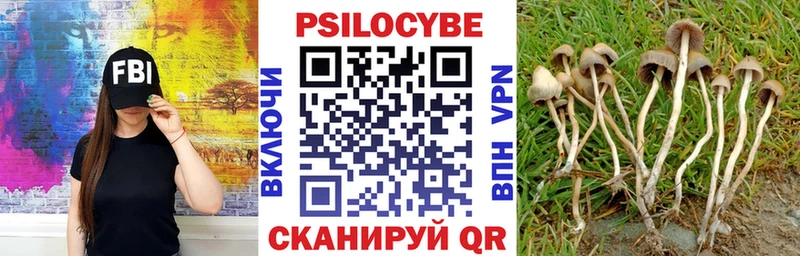Галлюциногенные грибы Cubensis Калининград