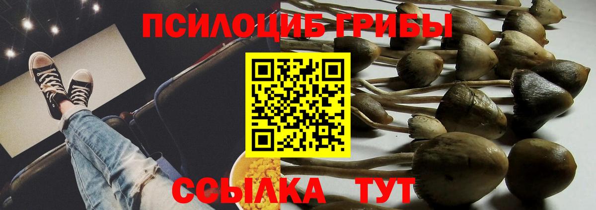 Галлюциногенные грибы Cubensis  Вход с VPN  Калининград 
