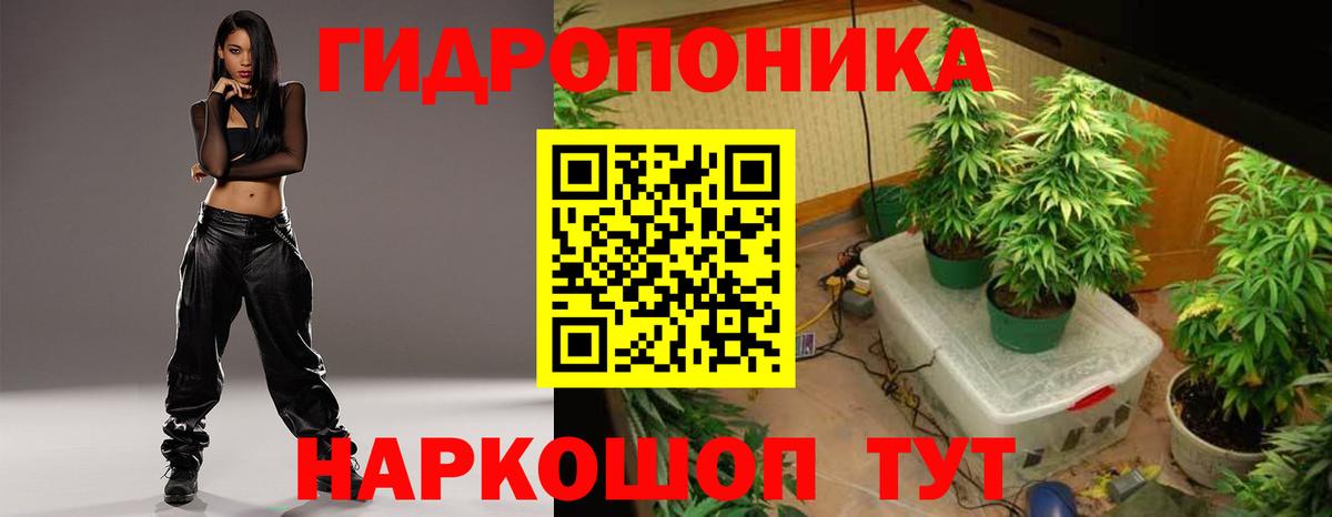 Калининград  Бошки марихуана Ganja  Канабис SATIVA & INDICA  Канабис гибрид  Конопля планчик  Вход с VPN 